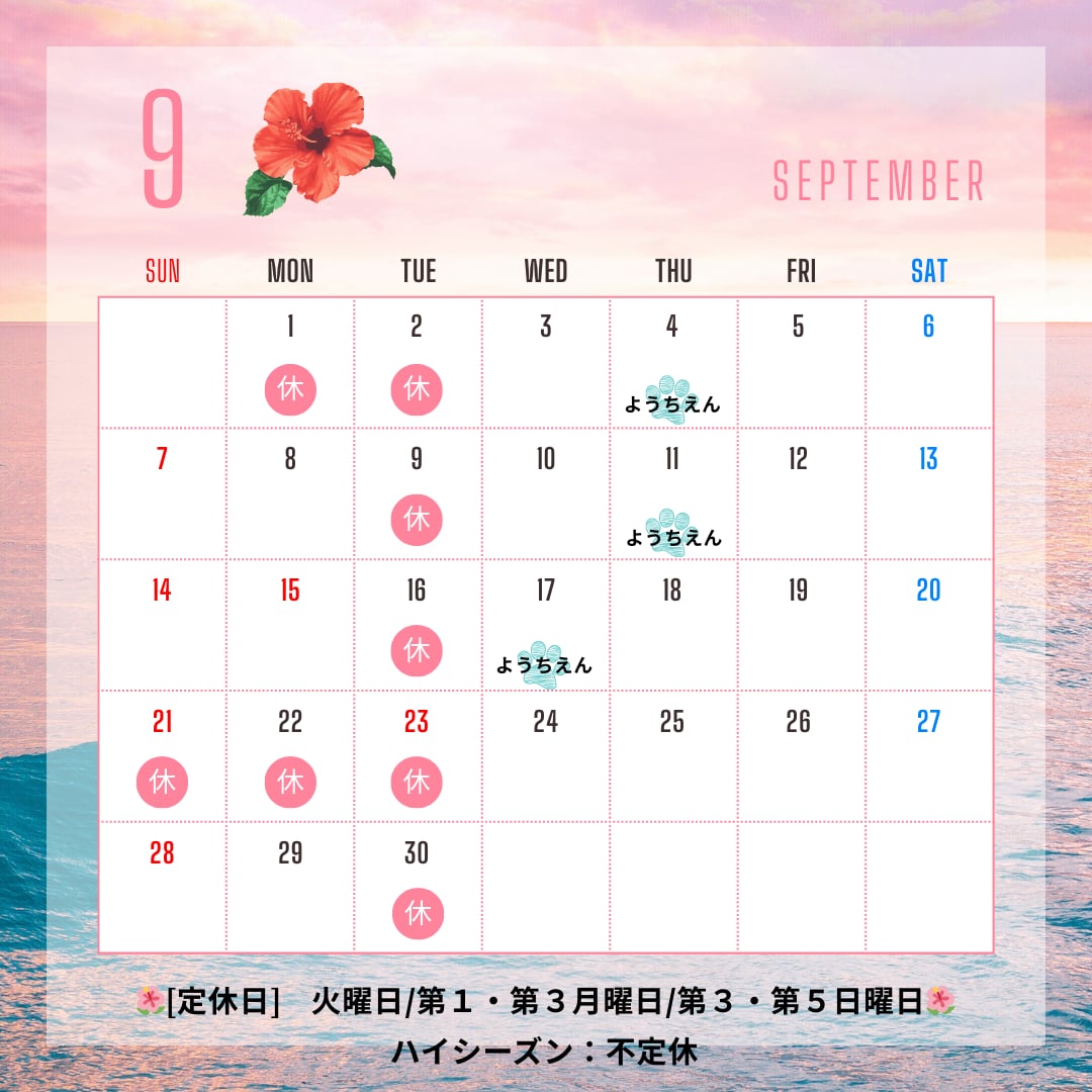 9月予定