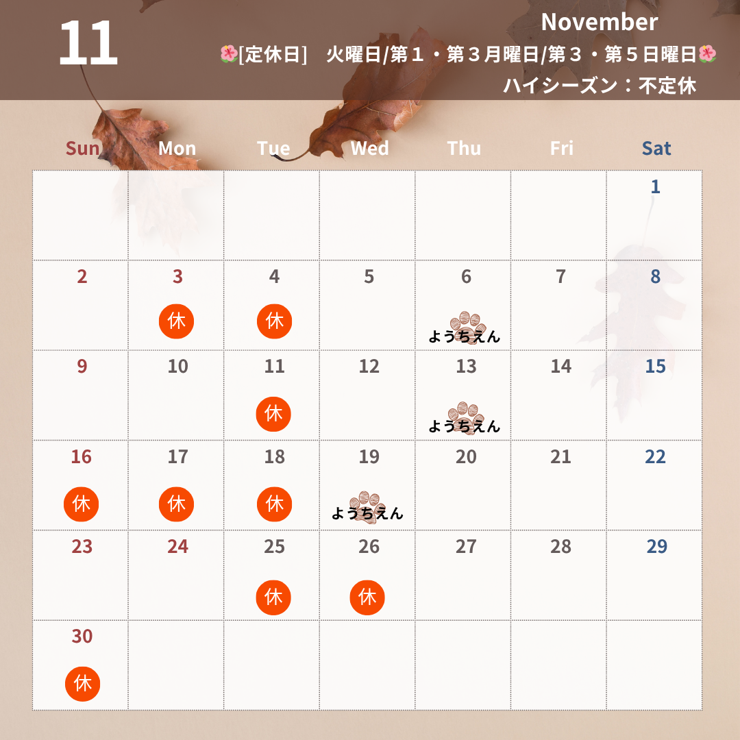 11月予定